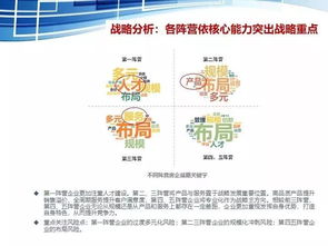蒋云峰 中国房地产企业经营分析及风险管控建议